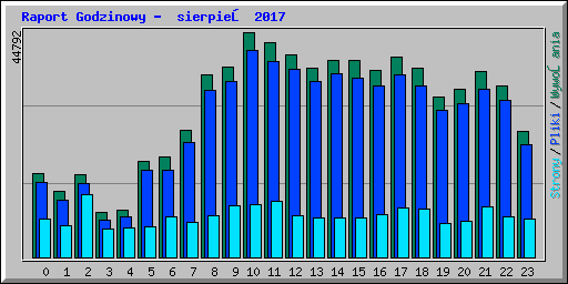 Raport Godzinowy -  sierpień 2017