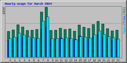 Hourly usage for March 2024
