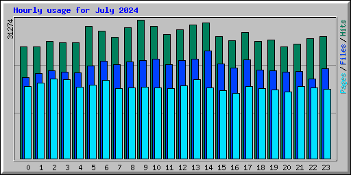 Hourly usage for July 2024